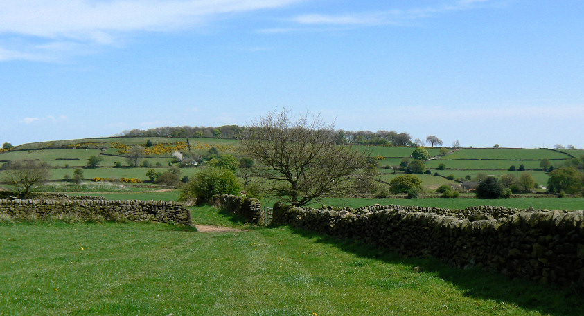 Hillside Hillside